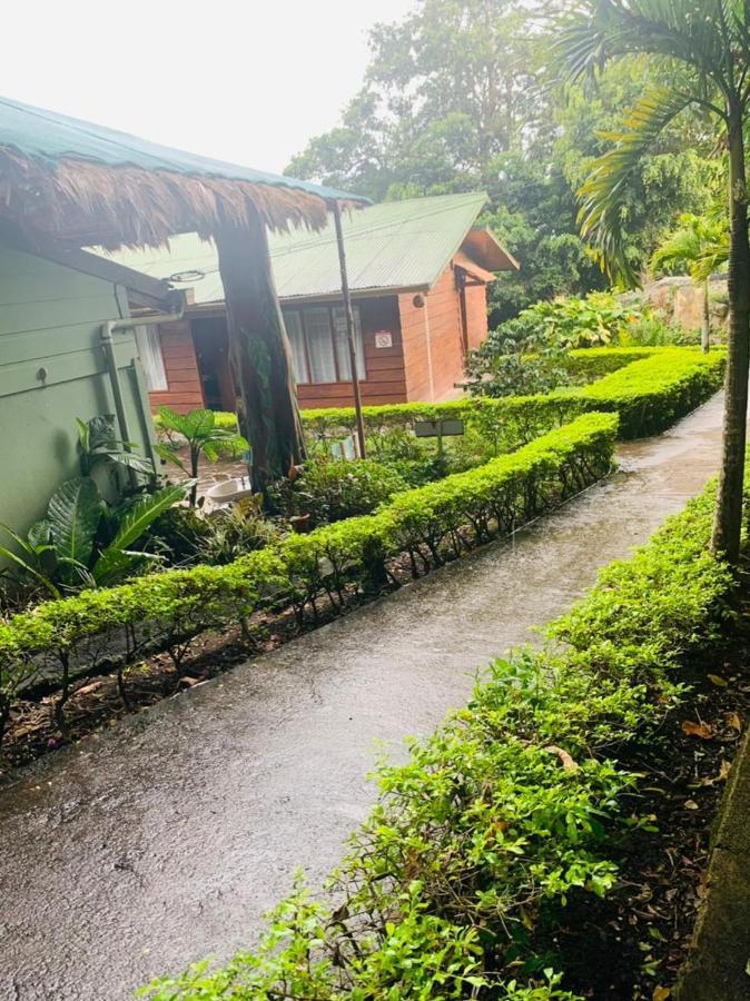 Hotel Quetzal Inn Monteverde Kültér fotó