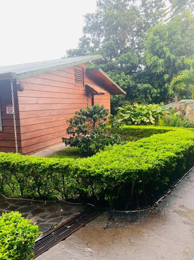 Hotel Quetzal Inn Monteverde Kültér fotó