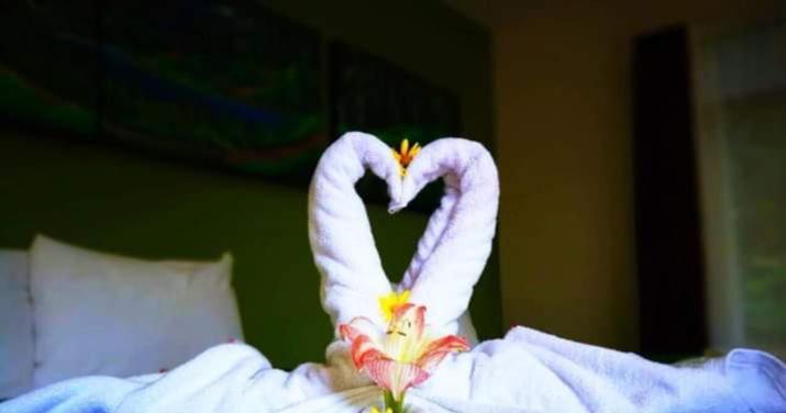 Hotel Quetzal Inn Monteverde Kültér fotó